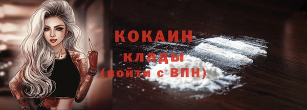 гидропоника Бородино