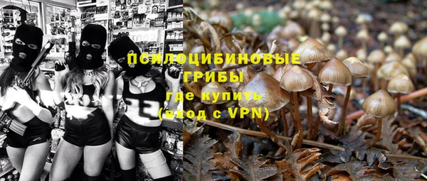 ГАЛЛЮЦИНОГЕННЫЕ ГРИБЫ Бронницы