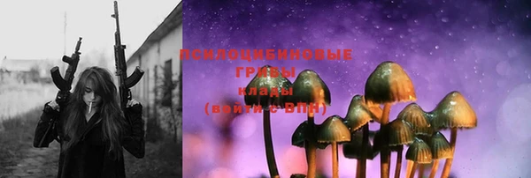 ГАЛЛЮЦИНОГЕННЫЕ ГРИБЫ Бронницы