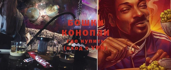 гидропоника Бородино