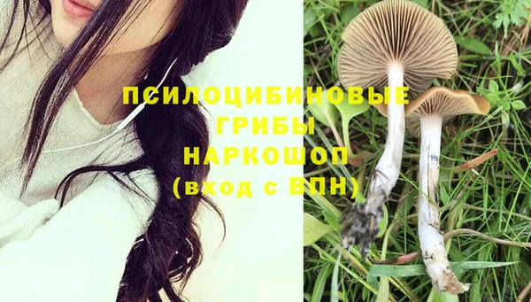 гидропоника Бородино