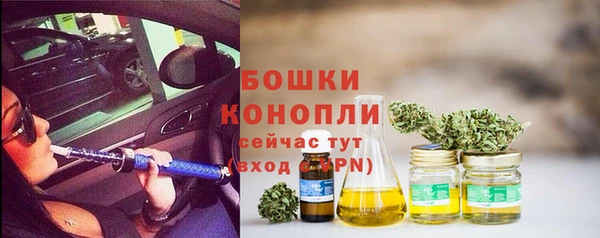 ГАЛЛЮЦИНОГЕННЫЕ ГРИБЫ Бронницы