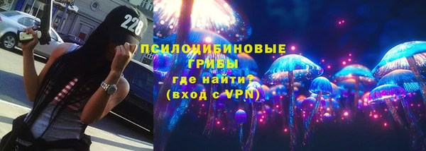 ГАЛЛЮЦИНОГЕННЫЕ ГРИБЫ Бронницы